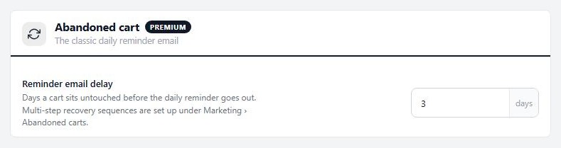 Settings › Checkout › Abandoned cart, showing Reminder email delay.